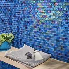 a blue tiled wall with sunglasses and a towel on a wooden shelf next to a potted plant