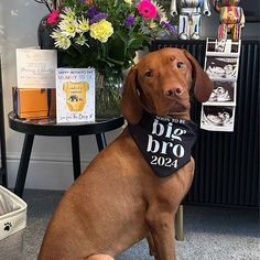 a brown dog wearing a bandana sitting in front of a vase with flowers on it