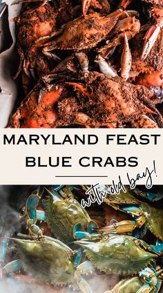 many blue crabs are being cooked in the grill with text overlay that reads, maryland feast blue crabs