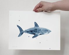 a drawing of a shark being held up by a person's hand over a white background