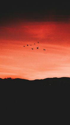 a flock of birds flying in the sky at sunset