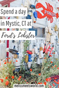 a sign that says spend a day in mystic cat ford's lobster on the side of a building