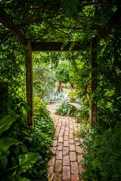 a brick pathway leads through an archway in the middle of a lush green garden with trees and shrubs