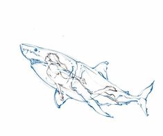 a drawing of a shark on a white background