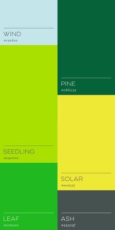 the color scheme is green, yellow and blue with white text on it that reads pine seeding