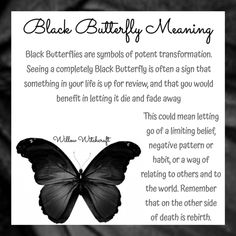 a black and white photo with a poem written in the bottom right corner, which has an image of a butterfly on it