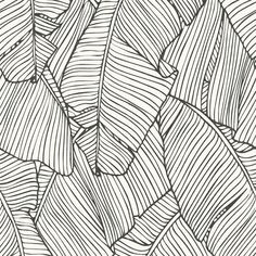 a black and white drawing of leaves