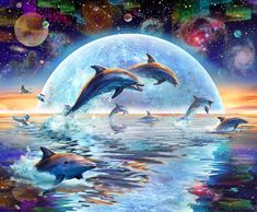 four dolphins jumping out of the water in front of a full moon and stars filled sky