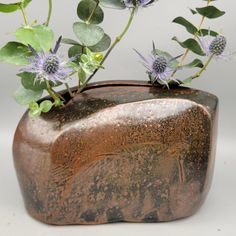 a brown vase with purple flowers and green leaves on the top, sitting on a white surface