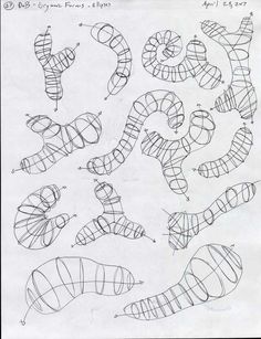 some drawings of different types of snakes and their names are shown in this drawing lesson