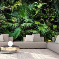 a living room filled with furniture and lots of green plants on the wall behind it