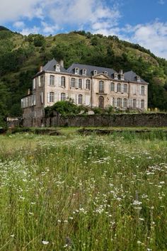 an old house sits in the middle of a field with wildflowers on it