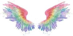 colorful wings with watercolor paint splattered on them