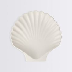 a white scallop shell shaped dish on a white background