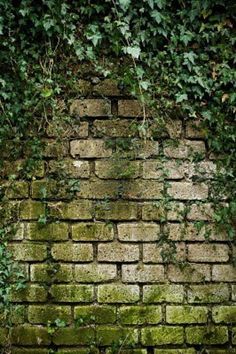 an old brick wall covered in ivy