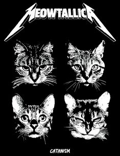 four cats are shown in black and white, with the caption's name above them