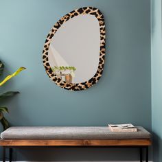 a mirror hanging on the wall next to a bench with a plant in front of it