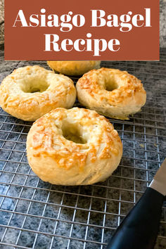 Homemade bagels may take a little time and effort, but if you love a chewy bagel and adore the Asiago cheese bagels from Panera, this from-scratch recipe is definitely worth trying. With a super chewy interior and pockets of cheese throughout, plus a crackly exterior, these cheese bagels are nearly perfect. #bagels #homemadebagels #asiagocheesebagels #cheesebagels #cheesebagelrecipe Asiago Bagel Recipe, Asiago Bagel, Gluten Free Bagel Recipe, Gluten Free Yeast Free, Plain Bagel