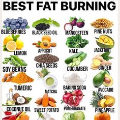 Dieabitic Diet, Food Substitutes, Fat Burning Snacks, Belly Fat Burning, Herbalife Shake Recipes, Fat Burners, Sport Nutrition, Diet For Beginners