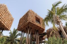 some kind of structure that is made out of wood and palm trees in the background