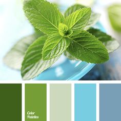 the color scheme is green and blue, with some mint leaves on top of it