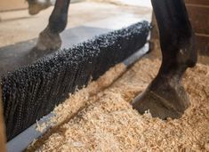 a horse standing on top of a pile of hay