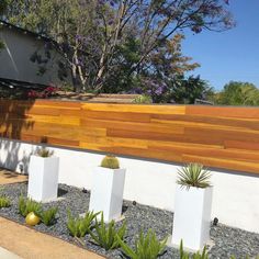 some very pretty plants in white vases by a fence with wood slats on it