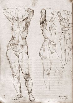 an old book with three drawings of men in different poses and body shapes on it