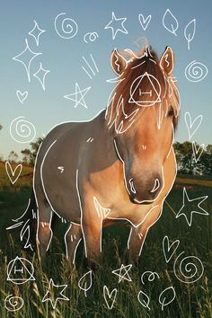 a brown horse standing on top of a lush green field next to stars and arrows