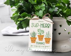 a potted plant sitting on top of a table next to a sign that says sup - herb