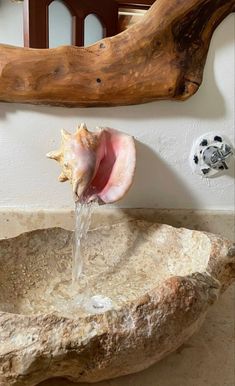 a close up of a stone sink with a large open shell on it's side