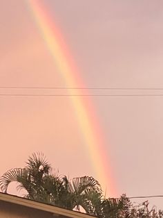 a rainbow is seen in the sky above some palm trees