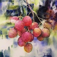 some fruit is hanging from a tree branch in the watercolor painting style, it appears to be red and yellow