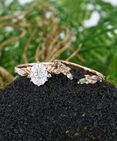 two wedding rings sitting on top of a rock in front of some plants and leaves