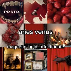 there is a collage of pictures with words and images on them that say arres veruss, magnetic, bold, affectionate