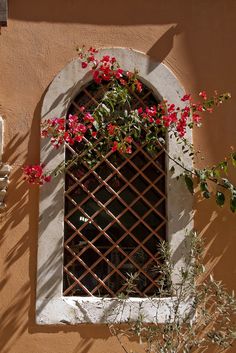 red flowers are growing out of the window sill in front of a stucco wall