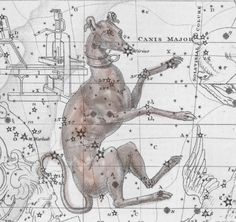 a drawing of a dog sitting on top of a table next to a star map