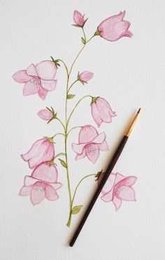 Easy Flower Drawings, Watercolor Flowers Tutorial, Learn Watercolor, Watercolor Pictures, Watercolor Flower Art, Watercolor Flowers Paintings, Watercolour Tutorials