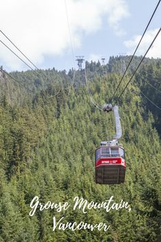 a cable car going up the side of a mountain with trees in the foreground