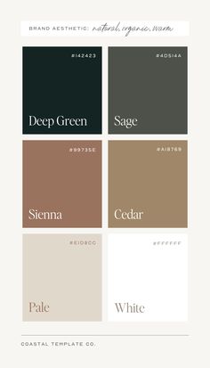 Color palette ideas for your next brand design, web design, or creative project by Coastal Template Co. Showit templates, Flodesk templates, Canva templates, and stock photography for small businesses. Timeless Color Schemes, Black White And Natural Wood Color Palette, Chaotic Academia Color Palette, Color Palette For Black Background, Olive And Blush Color Palette, Neutral Minimalist Color Palette, Moody Colors Palette, Country Club Color Palette, Starbucks Color Palette