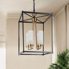 a chandelier hanging from a ceiling in a room with a potted plant