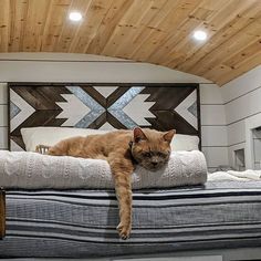 an orange cat laying on top of a bed in a room with wood ceilinging