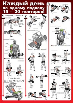 an image of a poster showing the different exercises for people to do in their home gym