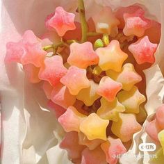 the flowers are pink and yellow with green stems in their petals, as if they were gummy