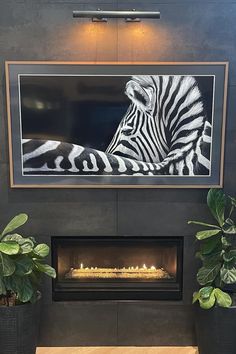 a zebra is sitting in front of a fire place with potted plants on the side