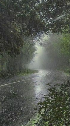 a wet road with trees on both sides and rain falling from the sky over it