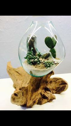 a glass bowl filled with plants on top of a wooden stump next to a white wall