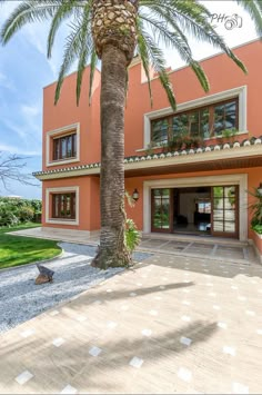 a palm tree in front of an orange building with large windows and lots of greenery