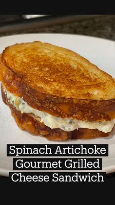 a grilled cheese sandwich sitting on top of a white plate