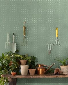 pots and gardening utensils on a shelf in front of a green wall with polka dots